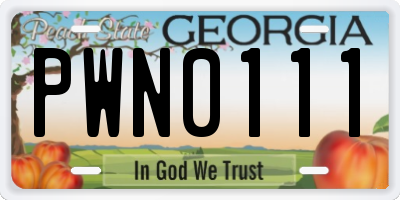 GA license plate PWN0111
