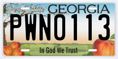 GA license plate PWN0113