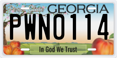 GA license plate PWN0114