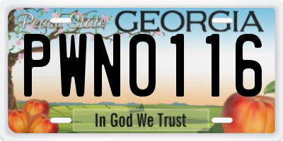 GA license plate PWN0116