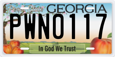 GA license plate PWN0117