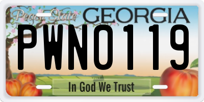 GA license plate PWN0119