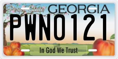 GA license plate PWN0121