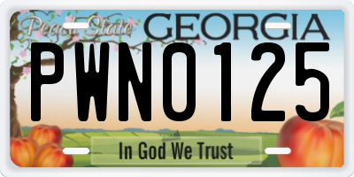 GA license plate PWN0125