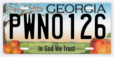 GA license plate PWN0126
