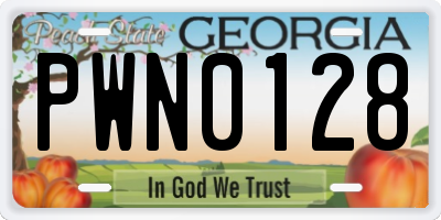 GA license plate PWN0128