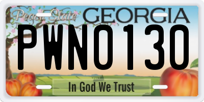 GA license plate PWN0130