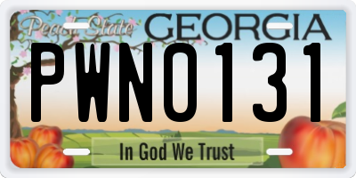 GA license plate PWN0131