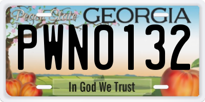 GA license plate PWN0132