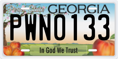 GA license plate PWN0133