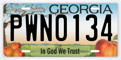GA license plate PWN0134