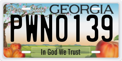 GA license plate PWN0139