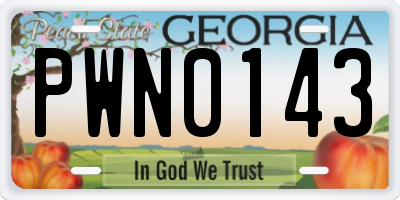 GA license plate PWN0143