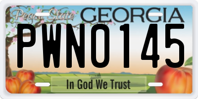 GA license plate PWN0145