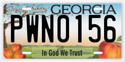 GA license plate PWN0156