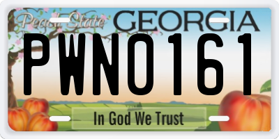 GA license plate PWN0161