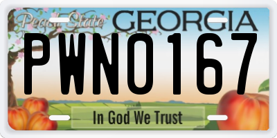 GA license plate PWN0167