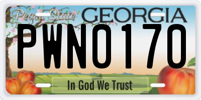 GA license plate PWN0170