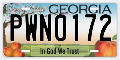 GA license plate PWN0172