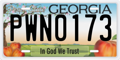 GA license plate PWN0173