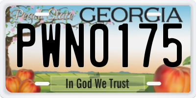 GA license plate PWN0175