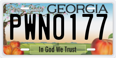 GA license plate PWN0177