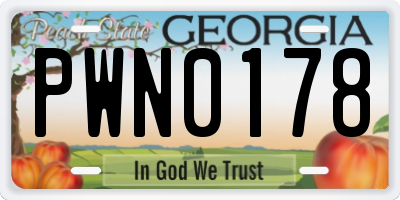 GA license plate PWN0178