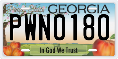 GA license plate PWN0180