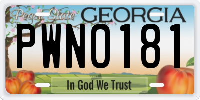 GA license plate PWN0181