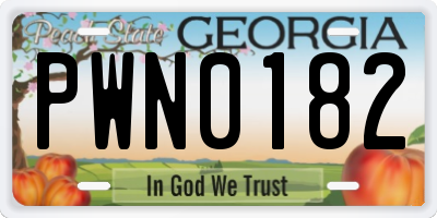 GA license plate PWN0182