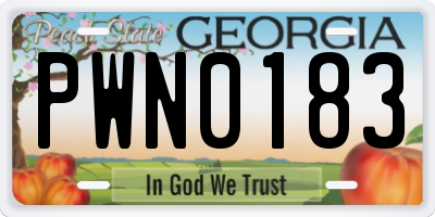 GA license plate PWN0183