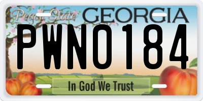 GA license plate PWN0184