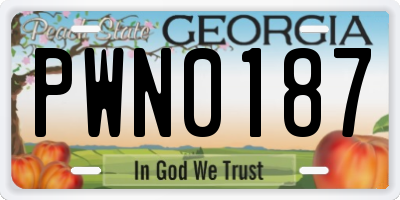 GA license plate PWN0187
