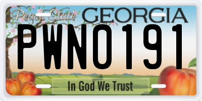 GA license plate PWN0191