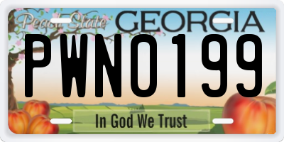 GA license plate PWN0199