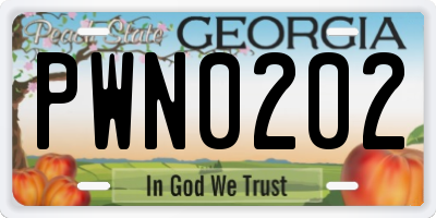 GA license plate PWN0202
