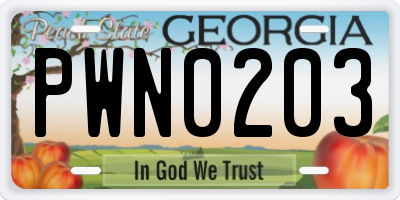 GA license plate PWN0203