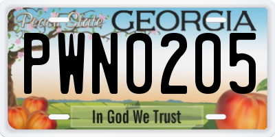 GA license plate PWN0205