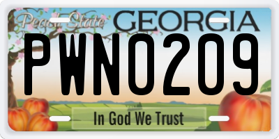 GA license plate PWN0209