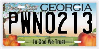 GA license plate PWN0213