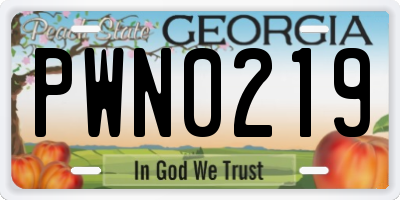 GA license plate PWN0219