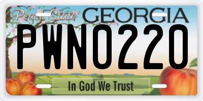 GA license plate PWN0220