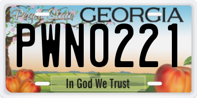 GA license plate PWN0221