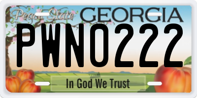 GA license plate PWN0222