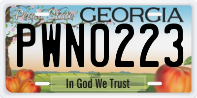 GA license plate PWN0223