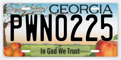 GA license plate PWN0225