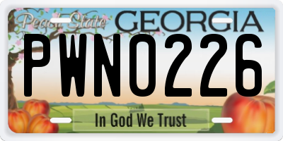 GA license plate PWN0226