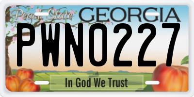 GA license plate PWN0227