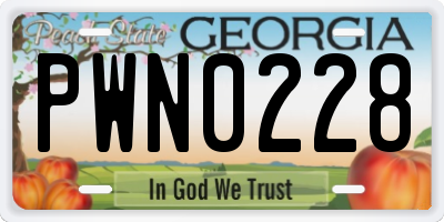 GA license plate PWN0228