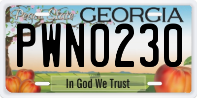 GA license plate PWN0230